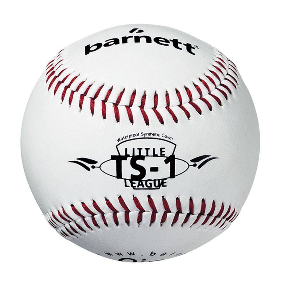 BGBW-1 Baseball Holz Senior 1 Schläger + 1 Handschuh +1 Ball